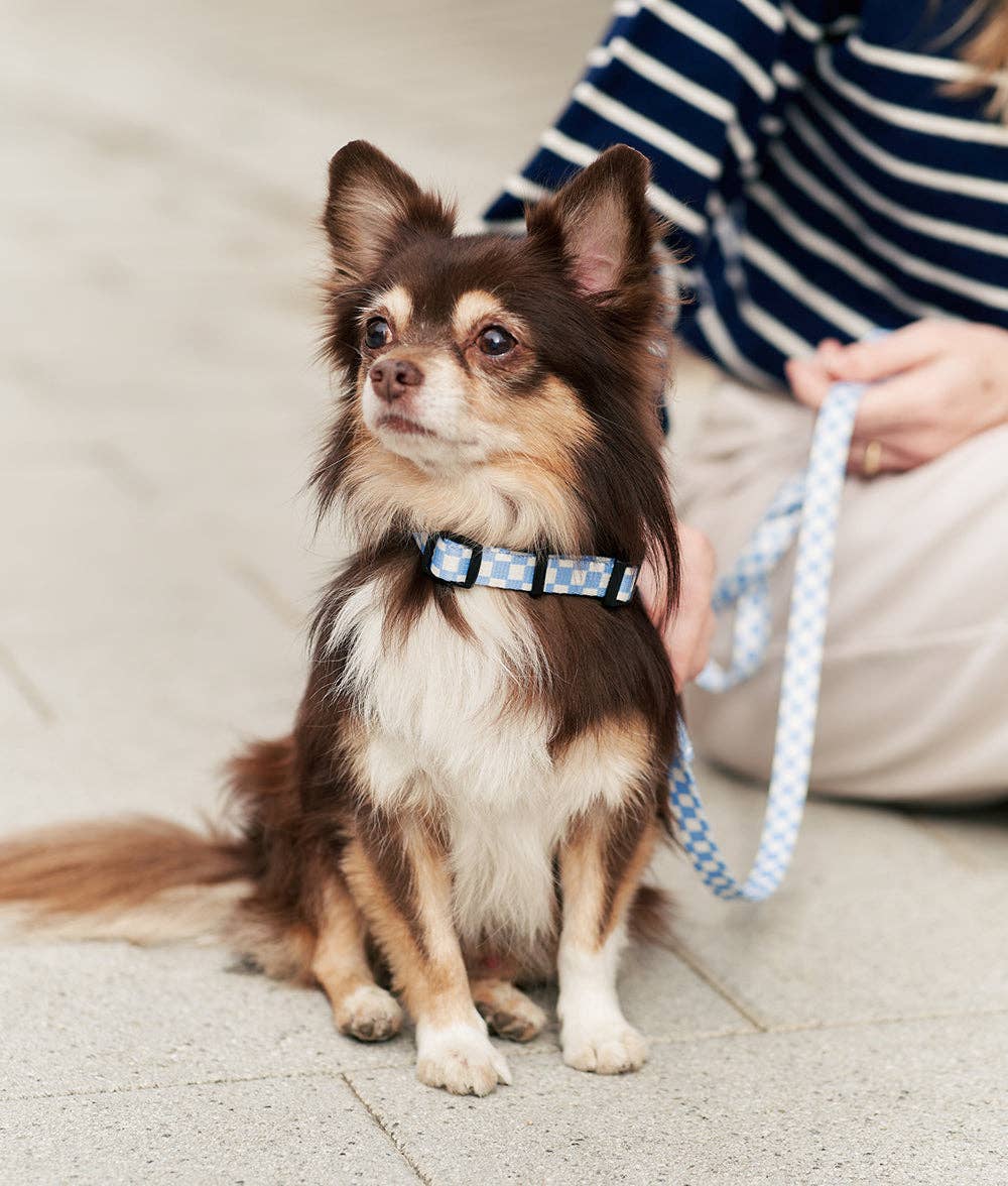 Juno Dog Strap – Vichy Blue | 1.2m Recycled PET Leash