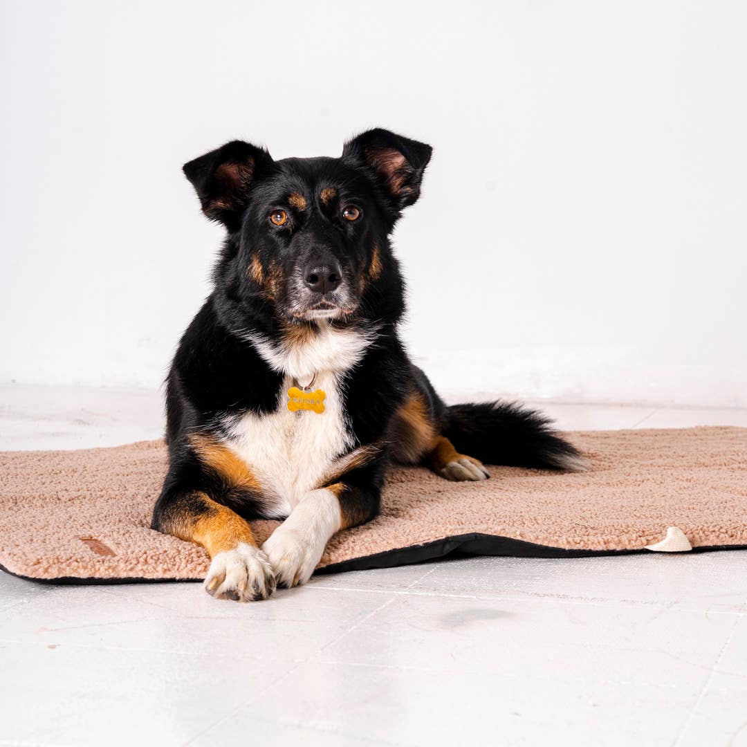 Mia Teddy Travel Mat – Comfort Anywhere, Anytime