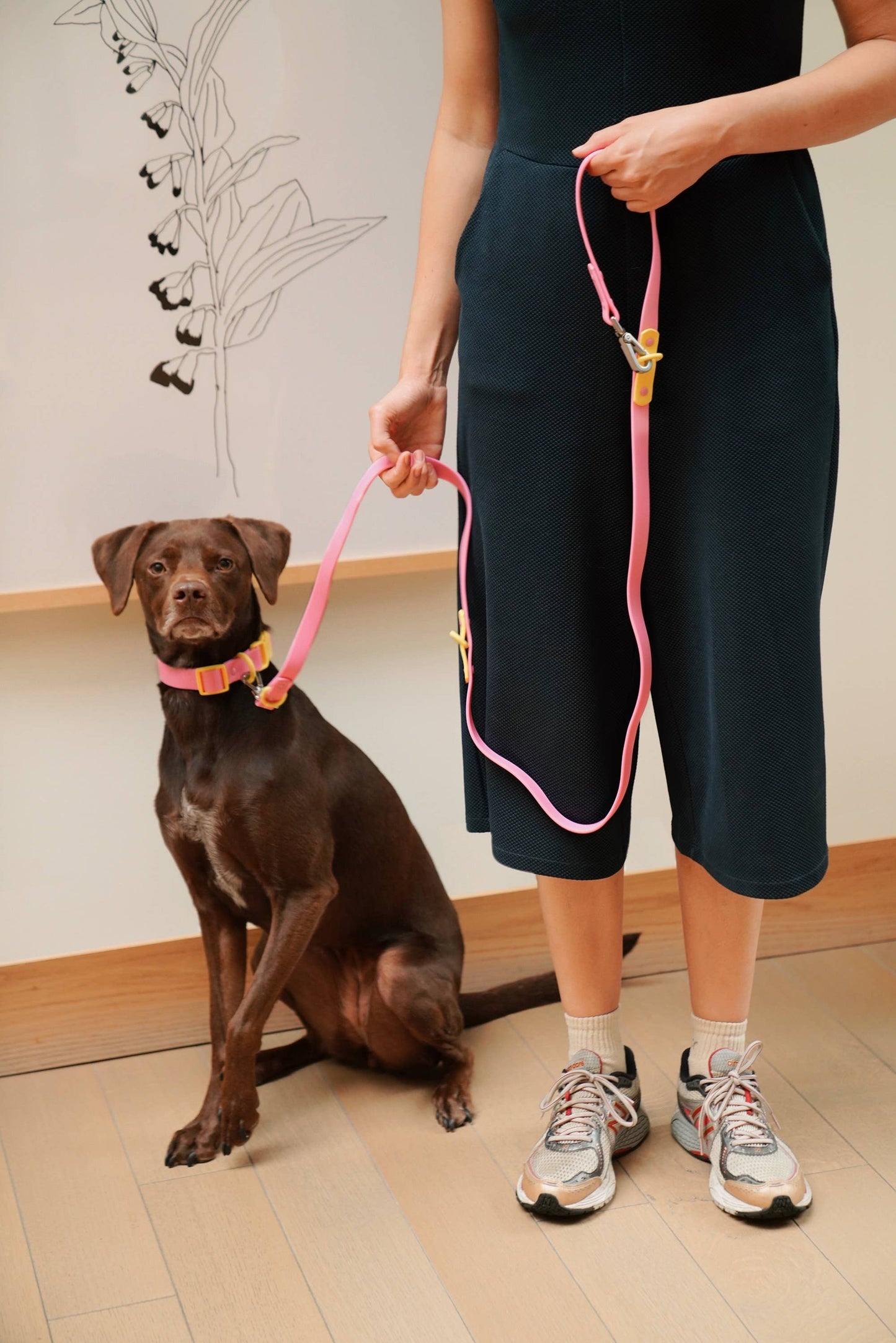 Fritz Dog Collar – Pink Lemonade | Waterproof & Adjustable