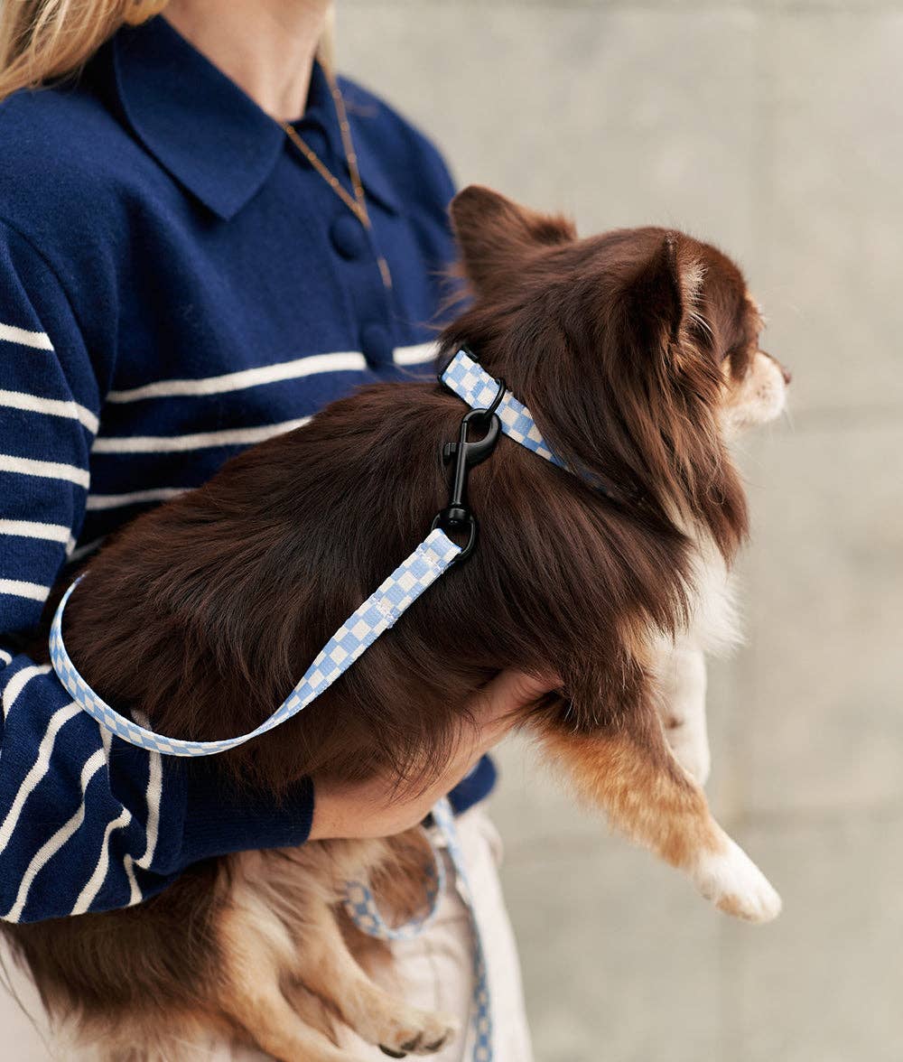 Juno Dog Strap – Vichy Blue | 1.2m Recycled PET Leash