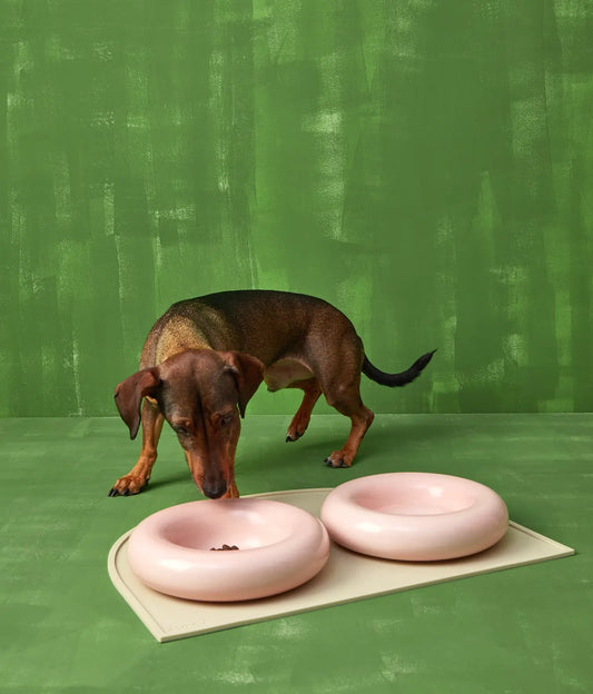 Yellow ceramic dog feeder
