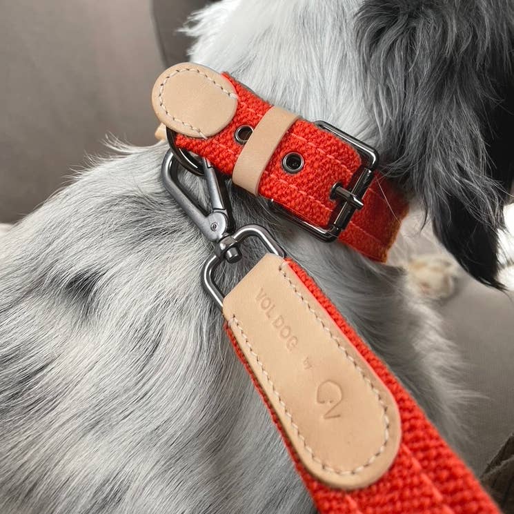 CoLAB Strap Special Edition Raf Simons