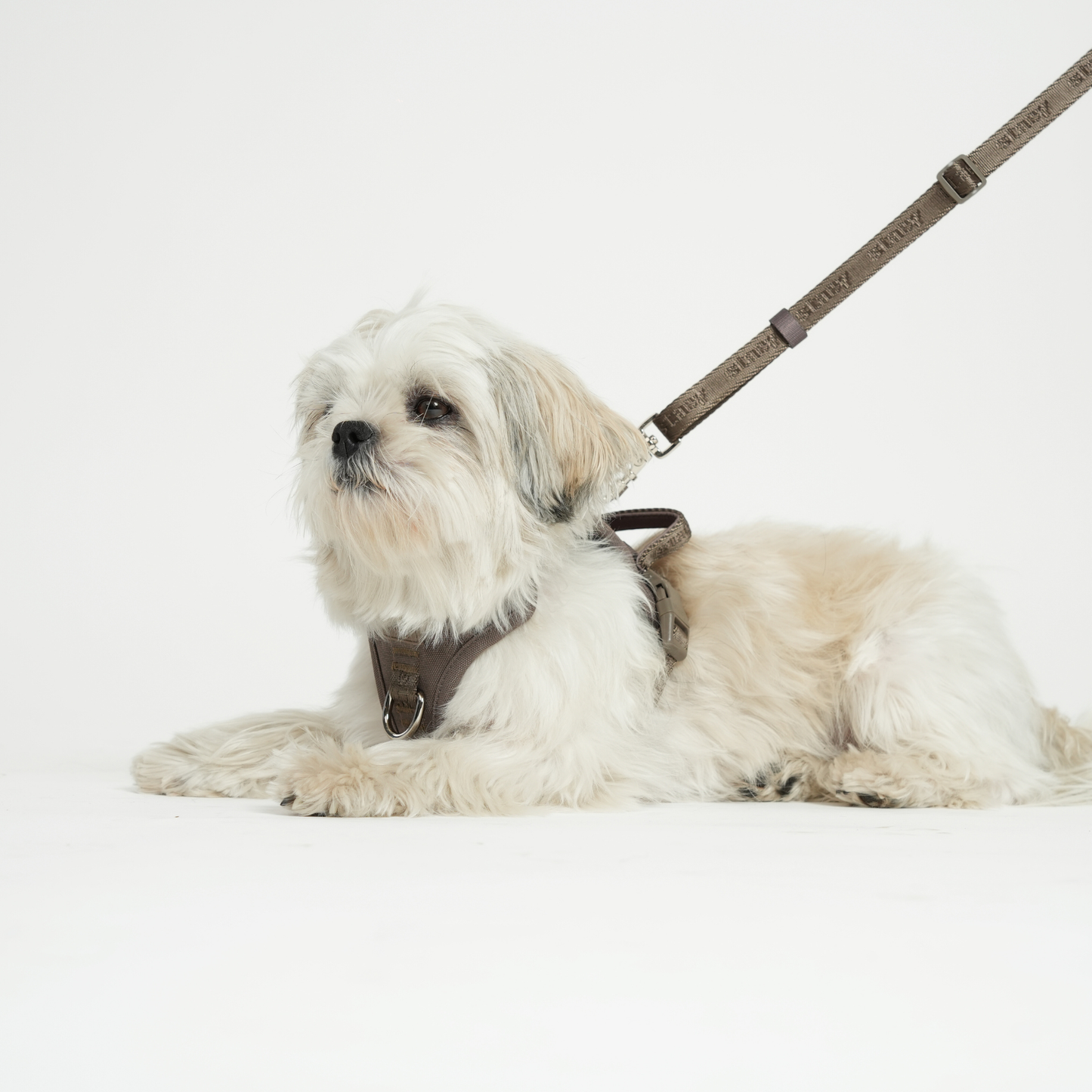 Hands-Free Dog Leash in Mocha | Adjustable & Stylish
