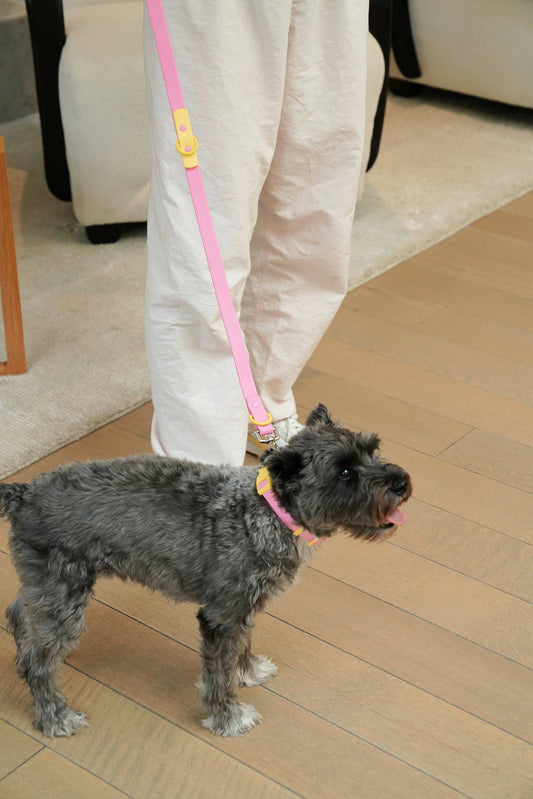 Fritz Dog Collar – Pink Lemonade | Waterproof & Adjustable