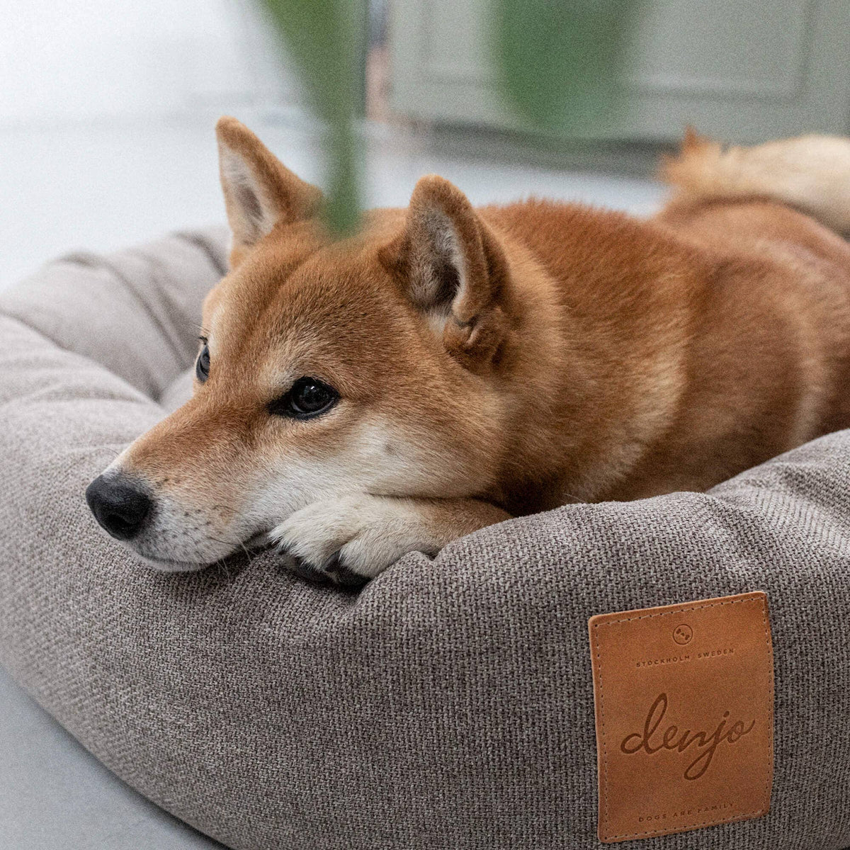 Round Donut Dog Bed | True Taupe | Leather Details & Washable Cover