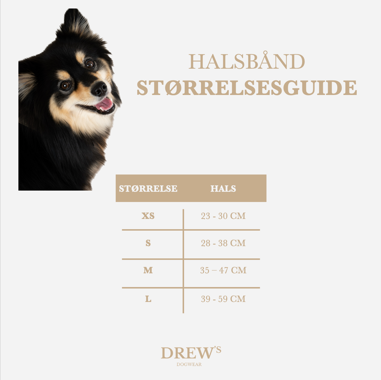 Dog collar size guide with a dog's face on the left and measurement chart on the right, branded 'Drew's'.