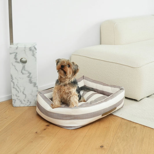 Yorkshire terrier dog on a striped dog bed with a pillow