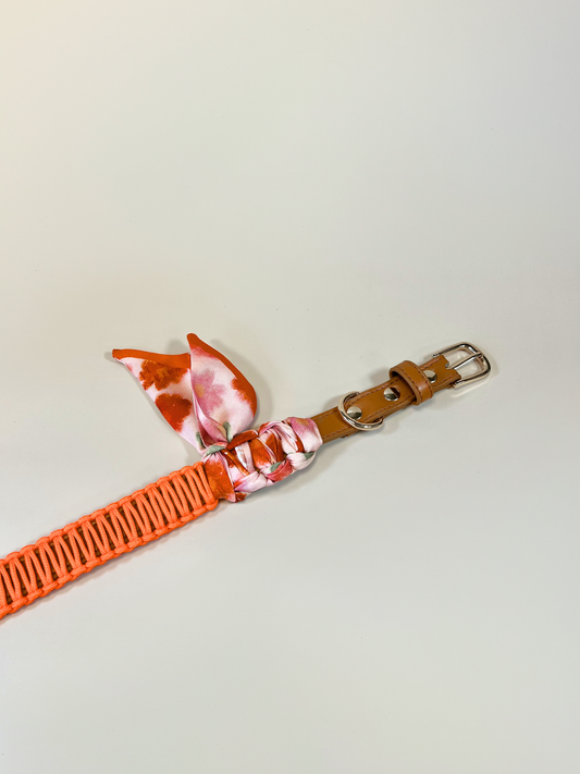 Dog collar with orange strap and floral bow on a light gray background