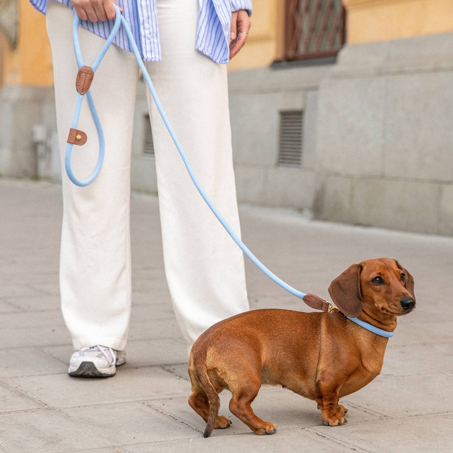 Torekov Dog Leash Hydrangea Blue - Limited Edition Color Rope