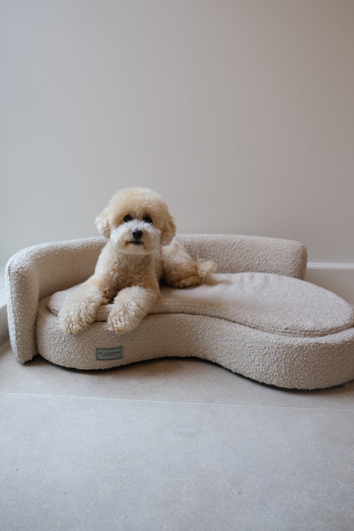 Dog lying on a fluffy pet bed against a plain wall