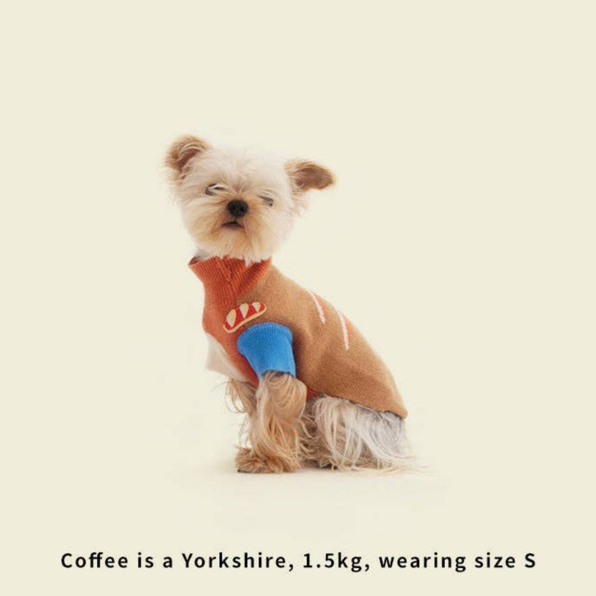 Small dog wearing a colorful sweater on a beige background with 'LIKA' branding.