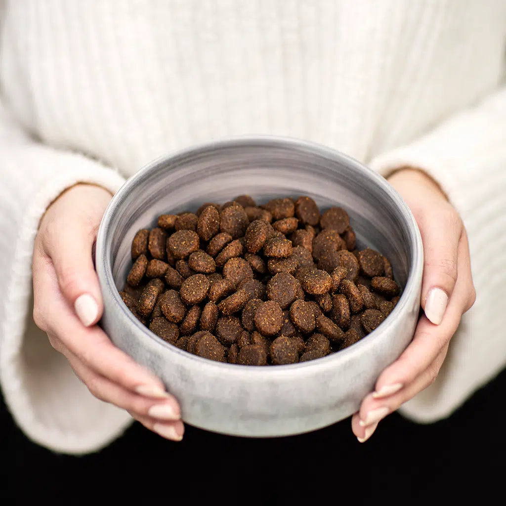 Person holding a bowl of brown pet food against a white background