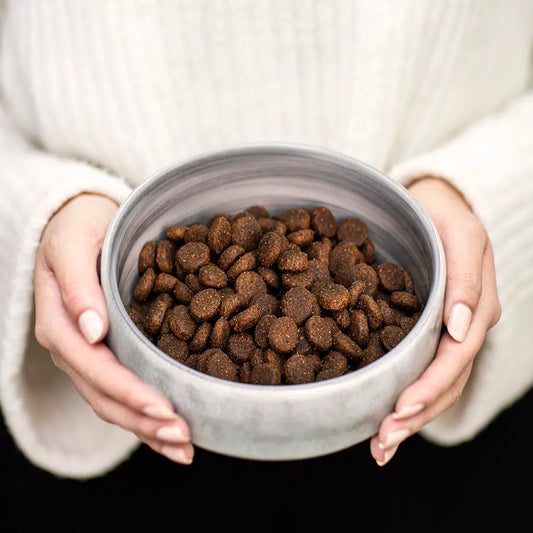 Person holding a bowl of brown pet food against a white background