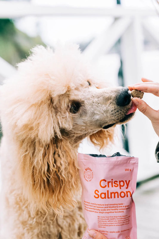 Buddy Crunchy Snack Salmon & Blueberries 150 g – Natural, Grain-Free Dog Treats