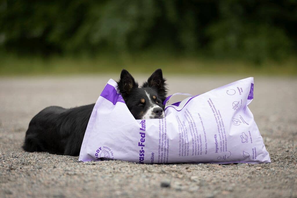 Buddy Græsfodret Lam Hundefoder 2 kg – Kornfrit Komplet Måltid