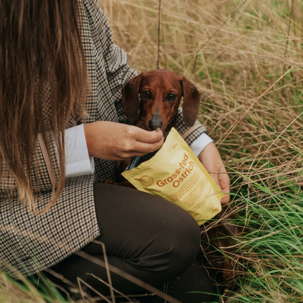 Person sitting in tall grass holding a small dog and a bag of 'Grass-Fed Oatmeal' food.