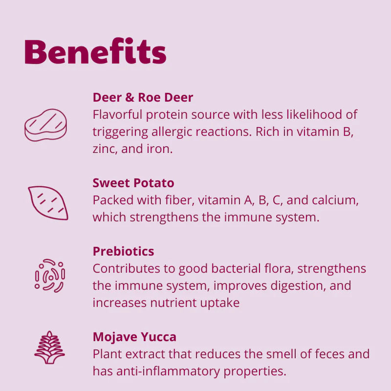 List of benefits with icons and text on a pink background