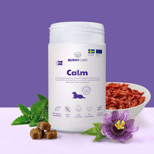 Dog Supplements – Buddy Care Calm (150g) | Natural Calming Chews