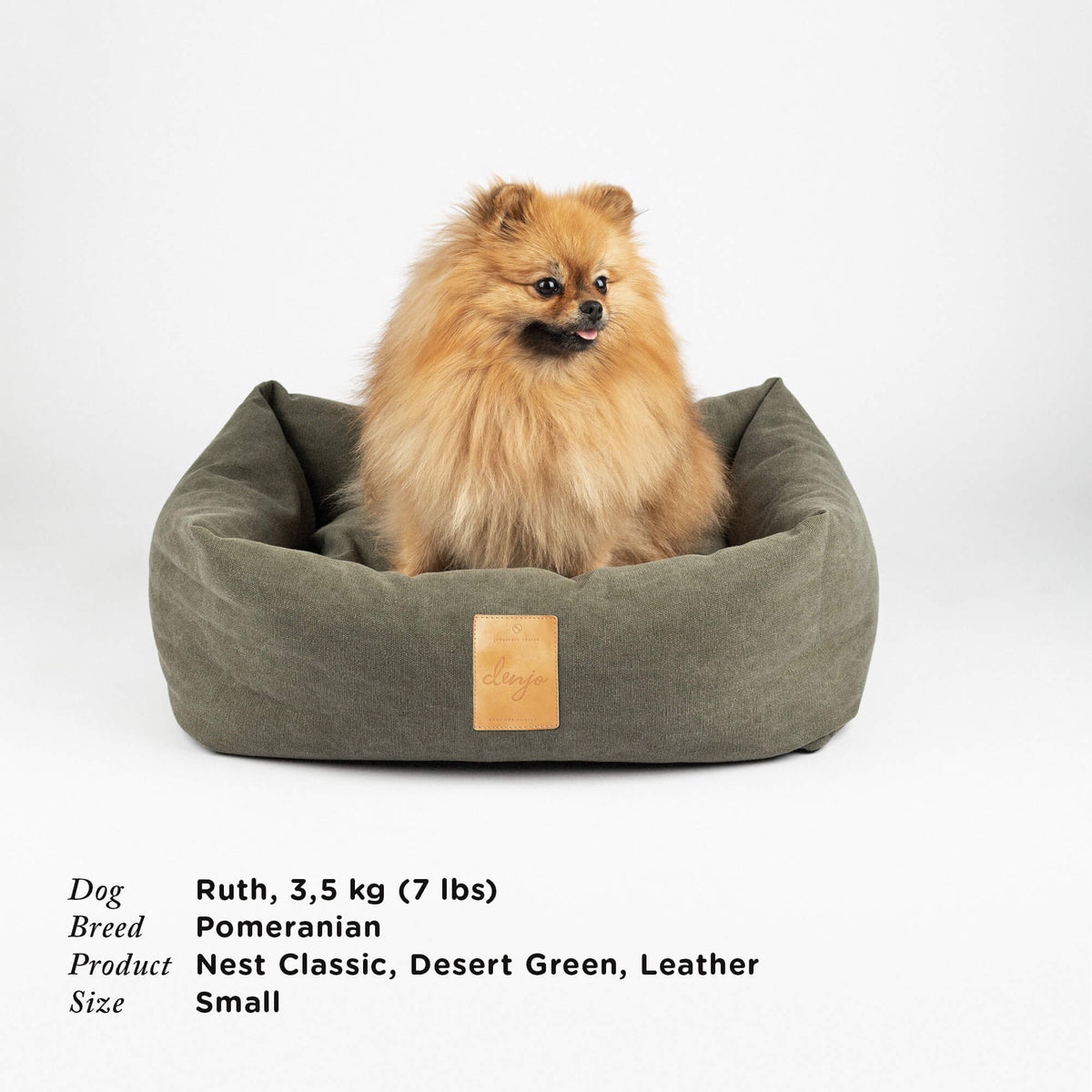 Pomeranian dog in a desert green pet bed with product details on a white background