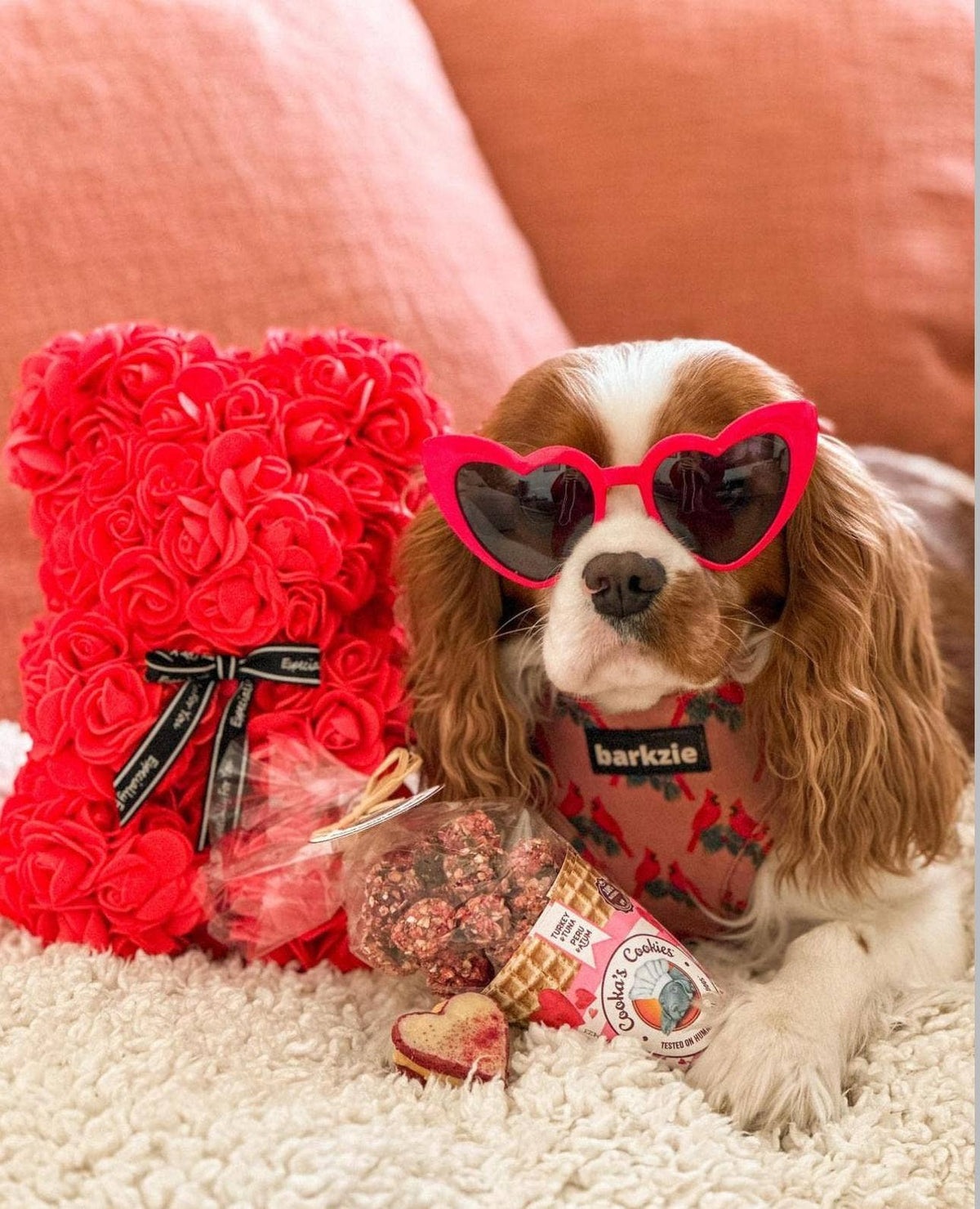 Dog wearing heart-shaped sunglasses with a red rose bouquet and candy in the background