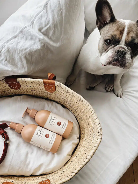 Cuddle+Care Shampoo LUFT – Gentle Revitalizing Dog Shampoo 375 ml