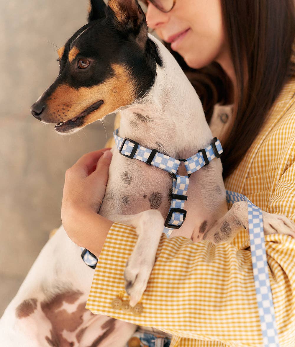 Juno Dog Harness – Vichy Blue | Lightweight Recycled PET Harness