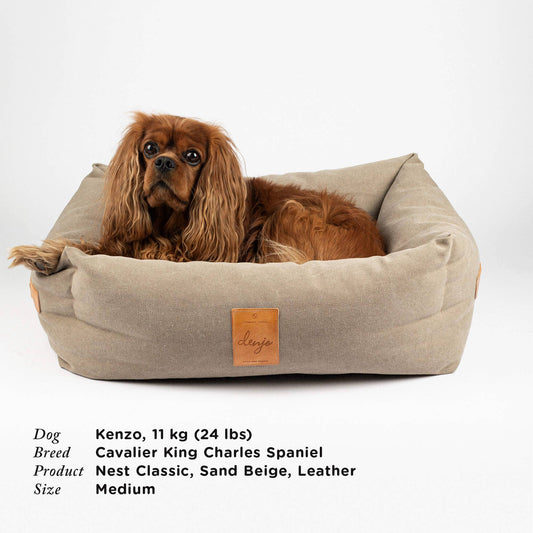 Dog lying on a beige dog bed with a label, on a white background