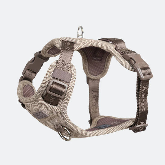 Dog harness with brown and gray straps on a white background