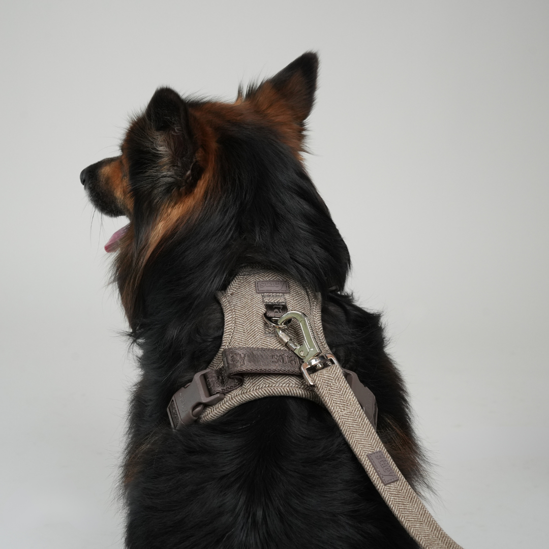 Dog Leash Elma in Mocca | Durable Scandinavian Design with Safety Lock