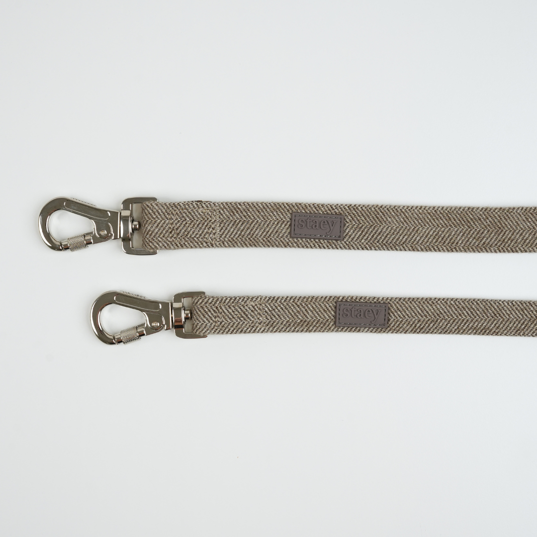 Two gray dog leashes with metal clasps on a white background