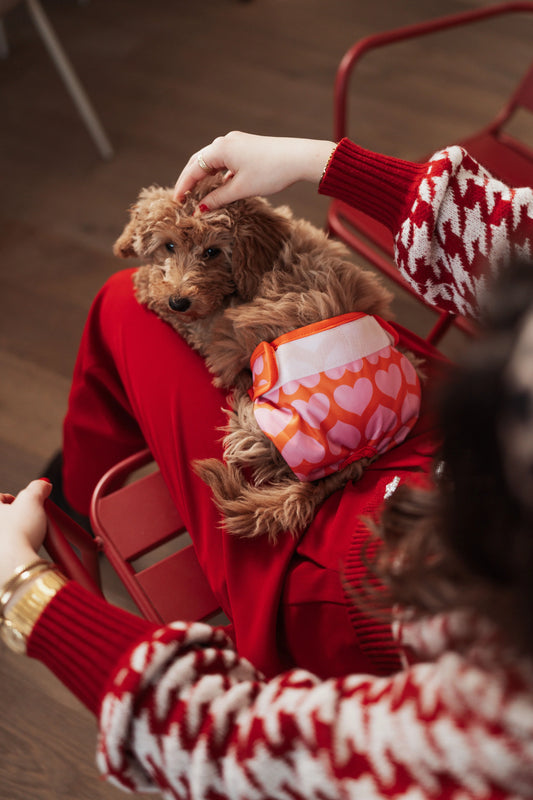 Person holding a small brown dog wearing a red coat with heart patterns on a wooden floor.