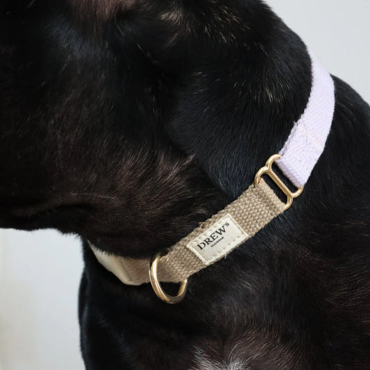 Lilac Dog Collar | Adjustable Collar with Brass Details