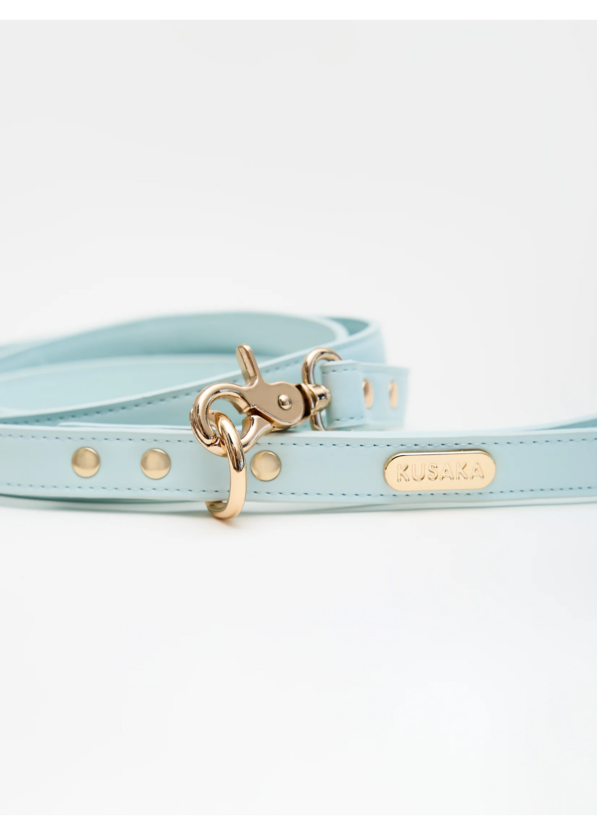 Eco-Leather Dog Leash 2 m | Tiffany