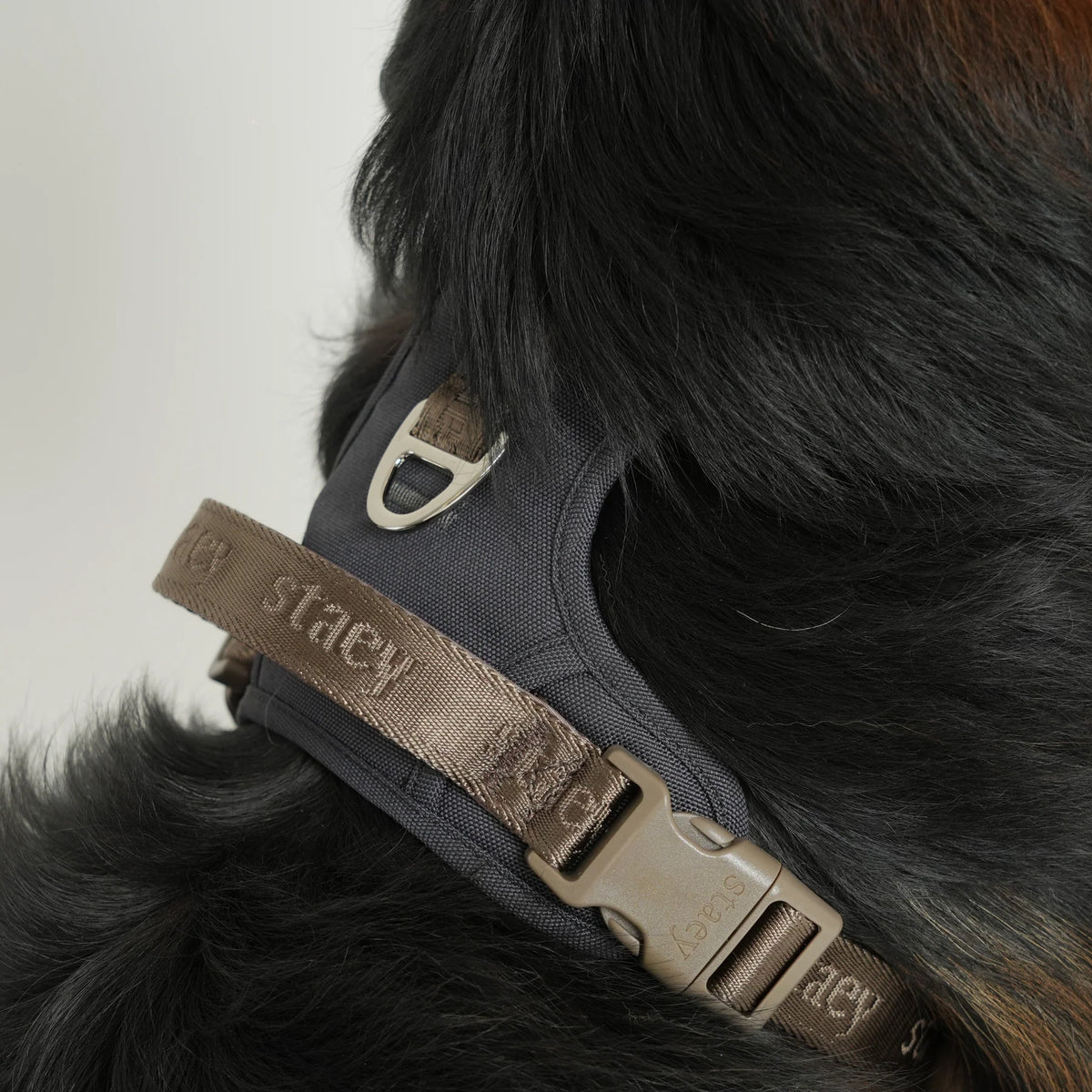 Elma Active Dog Harness – Storm | Danish Design