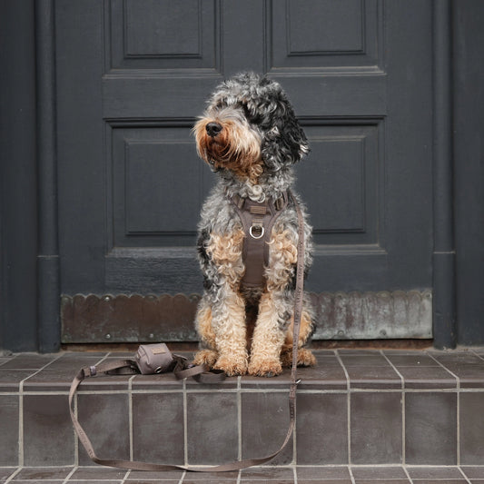 Elma Active Dog Harness – Taupe | Danish Design