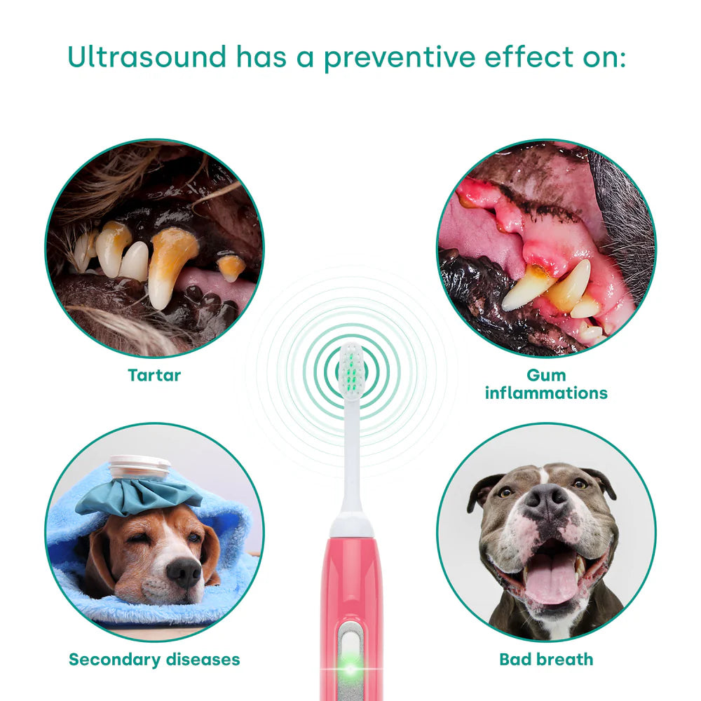 Emmi-Pet Basic Set 2.0 – Limited Pink Ultrasonic Toothbrush for Pets