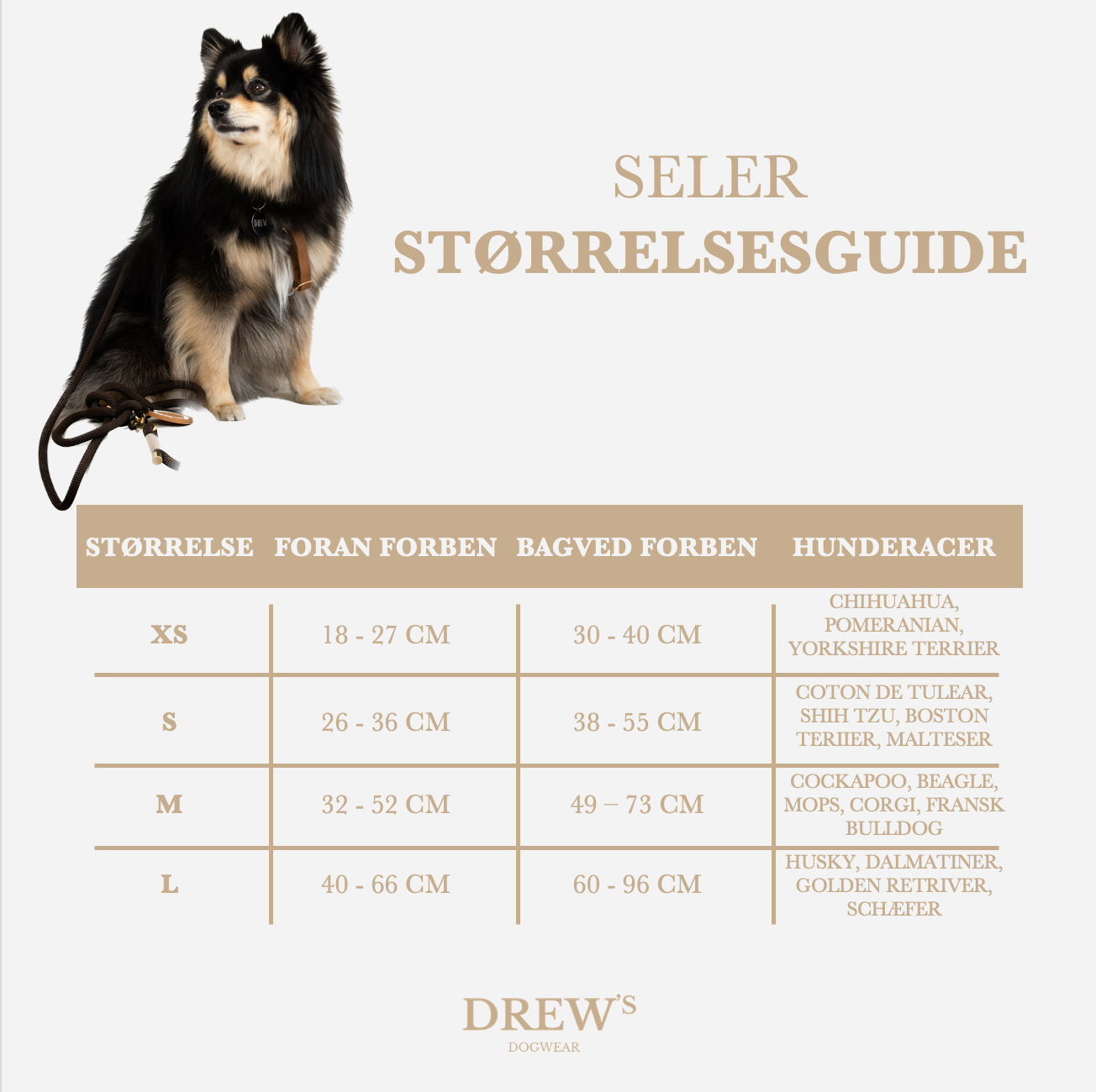 Dog Harness Cortado – Lightweight & Stylish