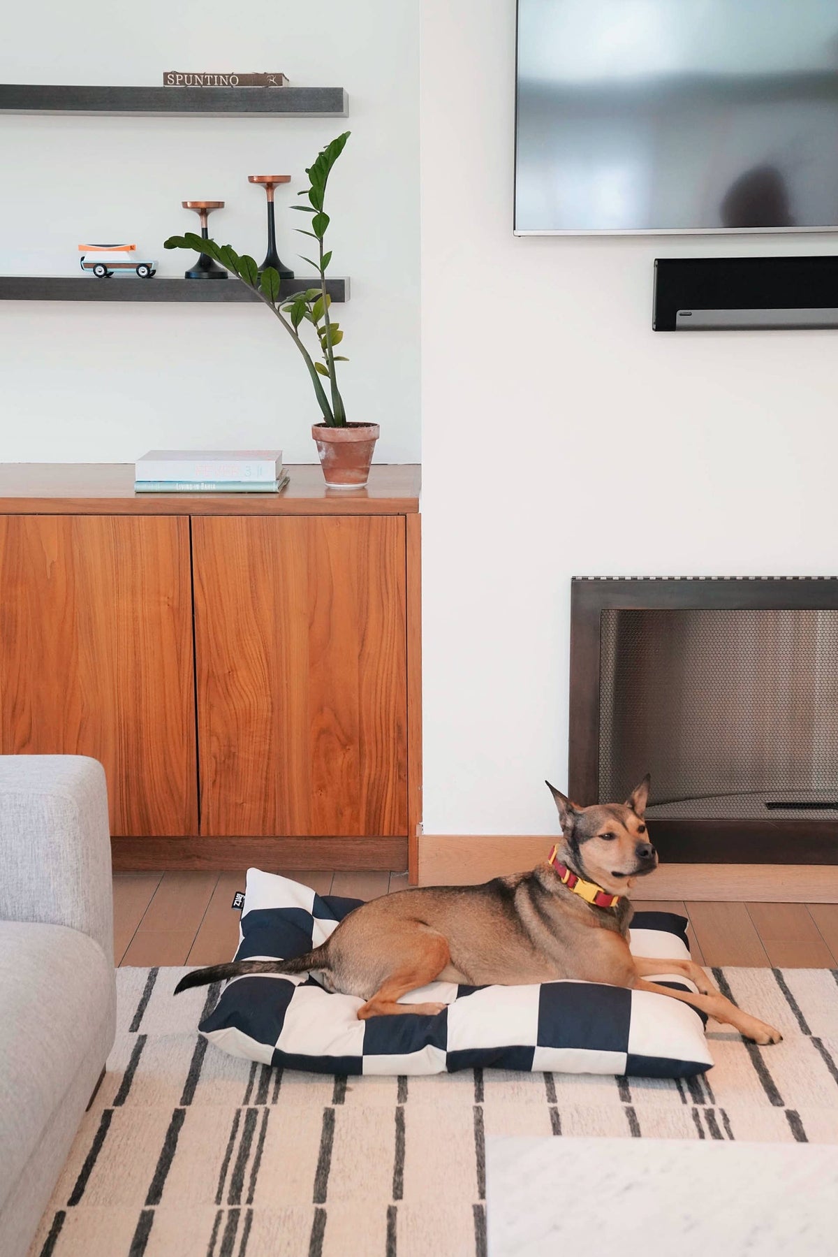 Dog lying on a checkered pet bed in a living room with a television and wooden cabinet.