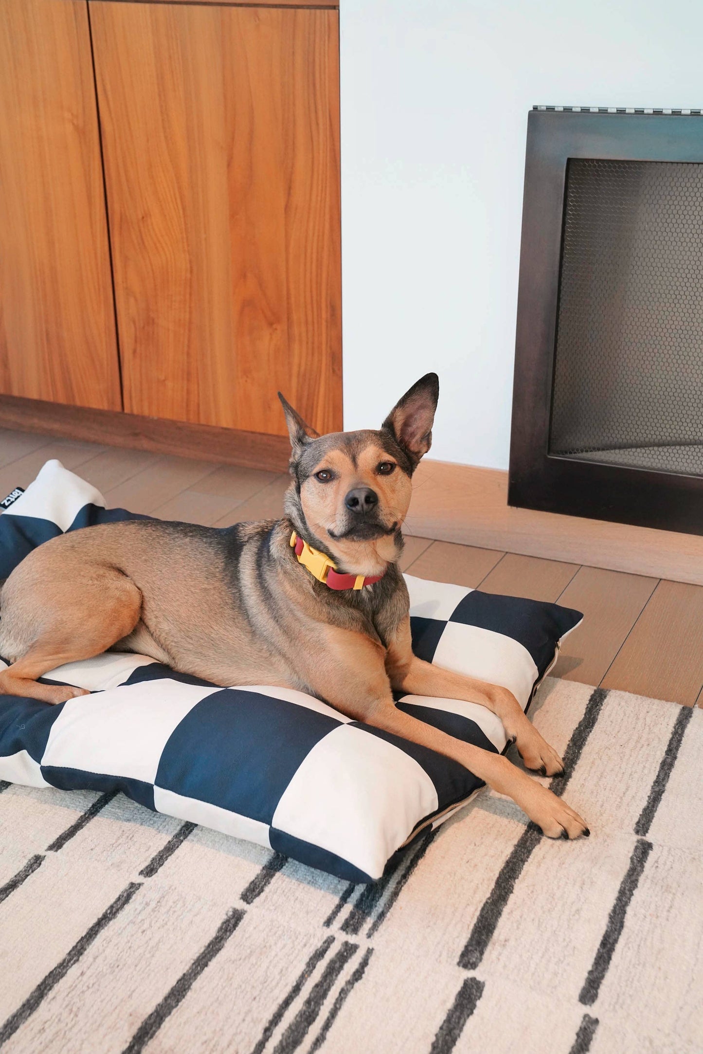 Dog lying on a striped dog bed in a room with wooden cabinets and a television.