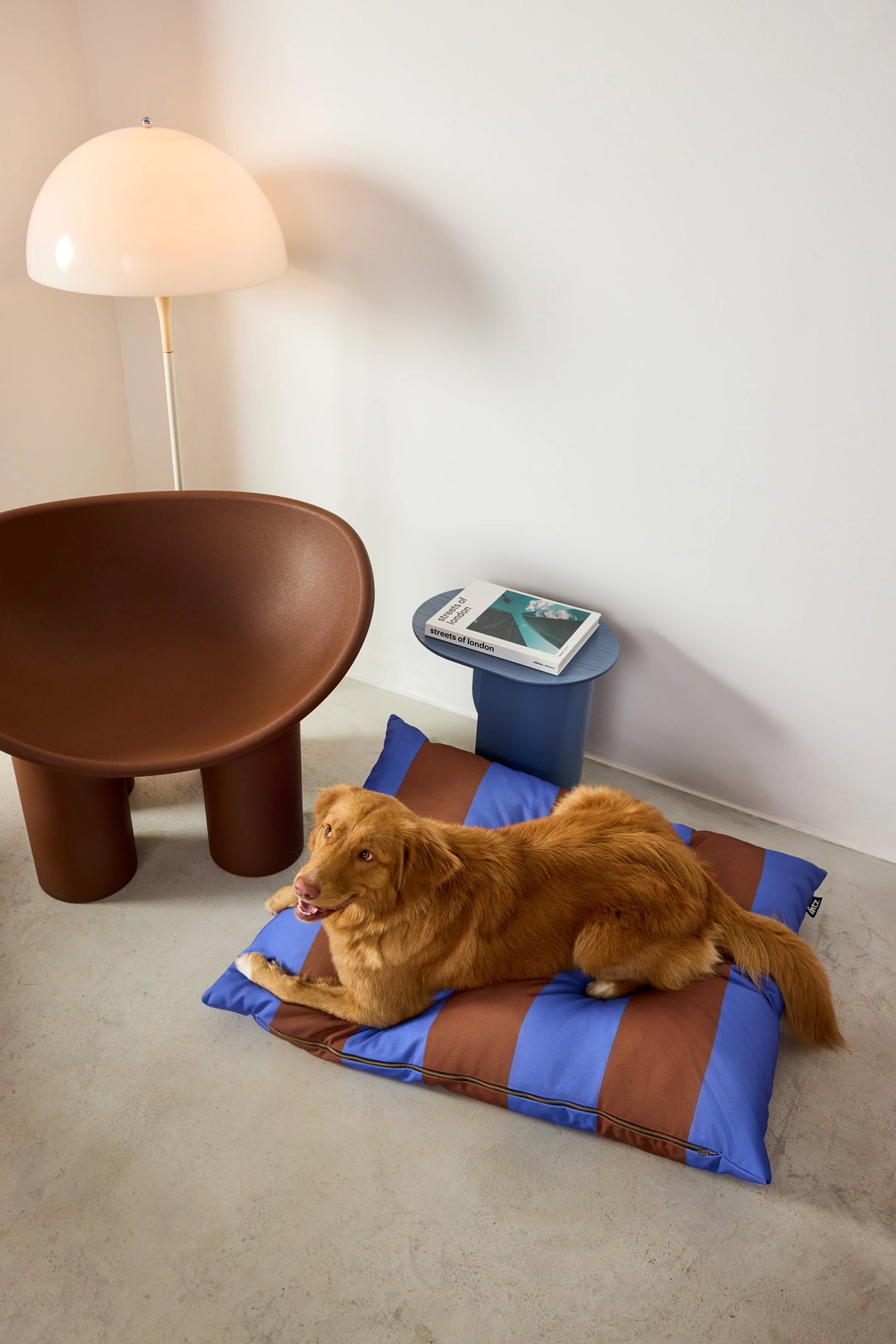 Dog lying on a striped mat in a room with a brown chair and white wall.
