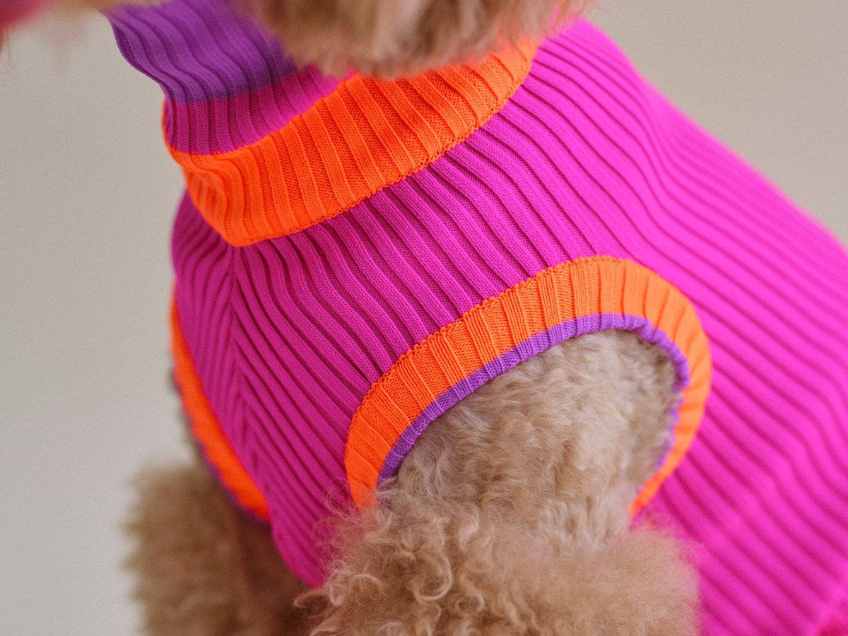 THE GLOW JUMPER 2.0 – Neon Hundesweater (Electric Sunset)