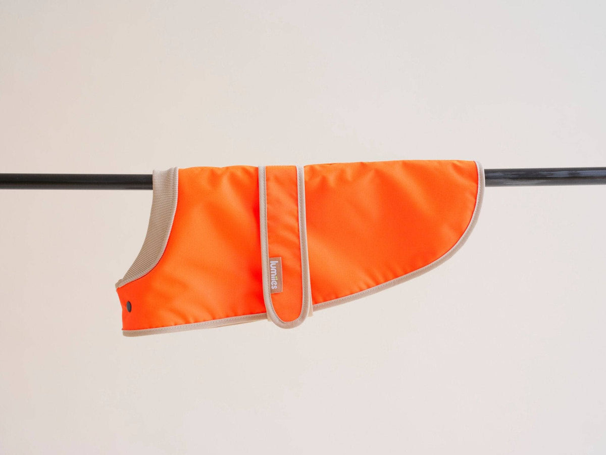 Orange dog coat on a beige background