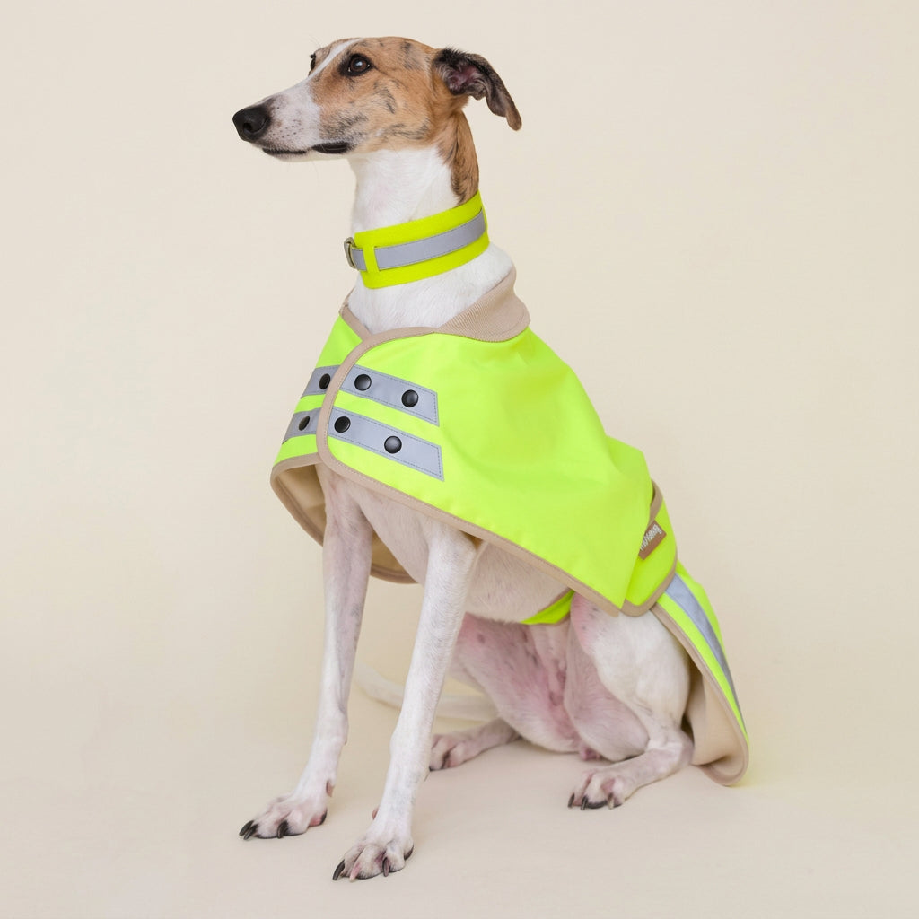 Dog wearing a bright yellow raincoat on a beige background