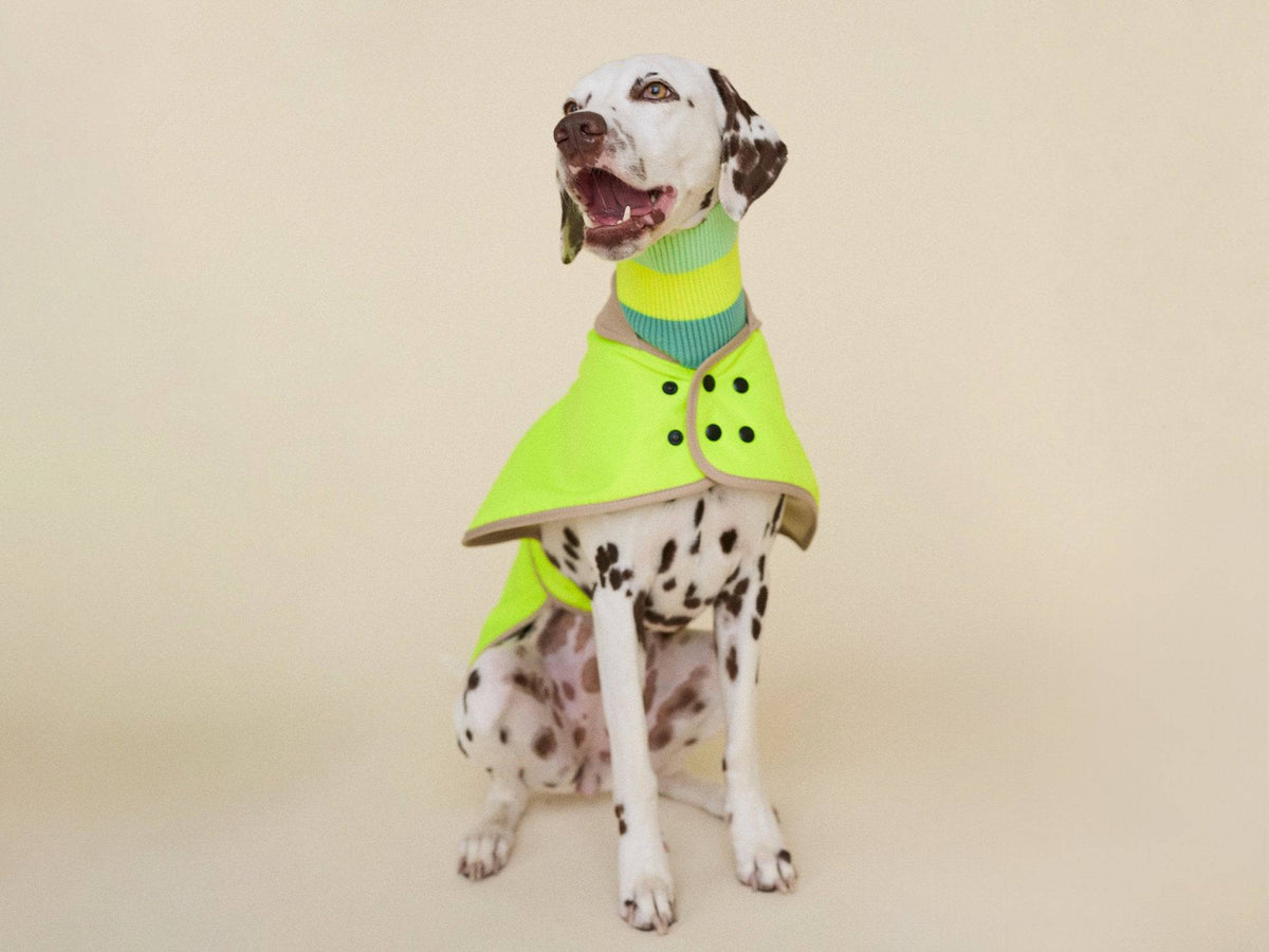 THE GLOW RAINCOAT regular-fit – Vandtæt hundejakke (neon gul)