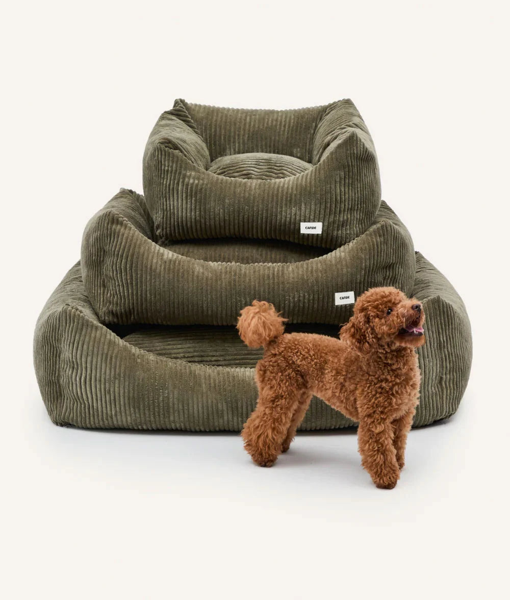 Two green corduroy pet beds with a small brown dog standing between them on a white background.