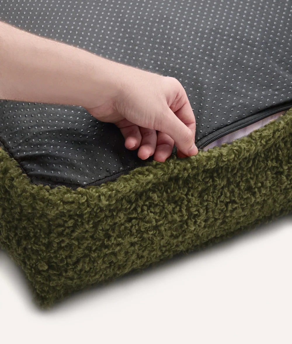 Green pet bed with a hand opening the zipper on a white background
