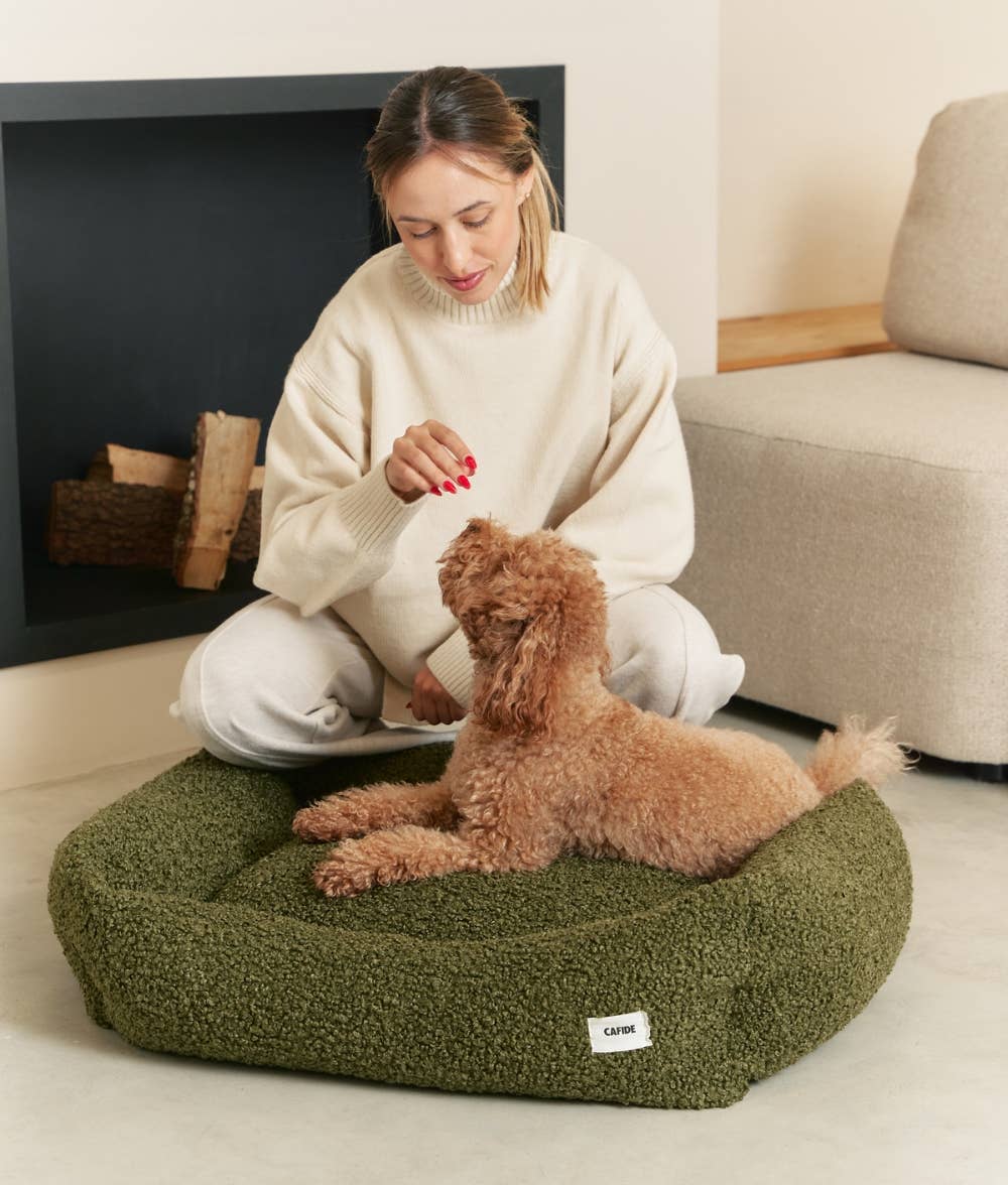 Small brown dog sitting on a green pet bed with 'CAIDE' label