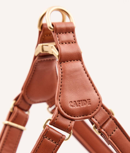 Brown leather harness with gold hardware on a white background