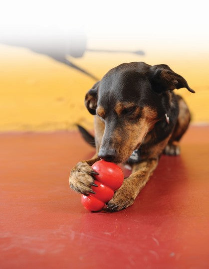 KONG Classic Large – Durable Chew Toy for 13-30 kg Dogs