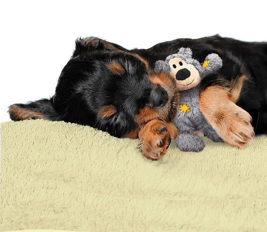 KONG WildKnots Bears S/M – Multicolor Durable Plush Dog Toy with Squeaker